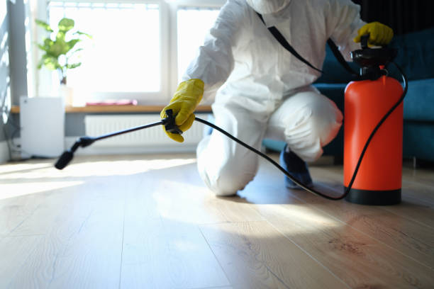 Reliable Odor Removal contractor in Liberty, SC by Trauma Clean Pros